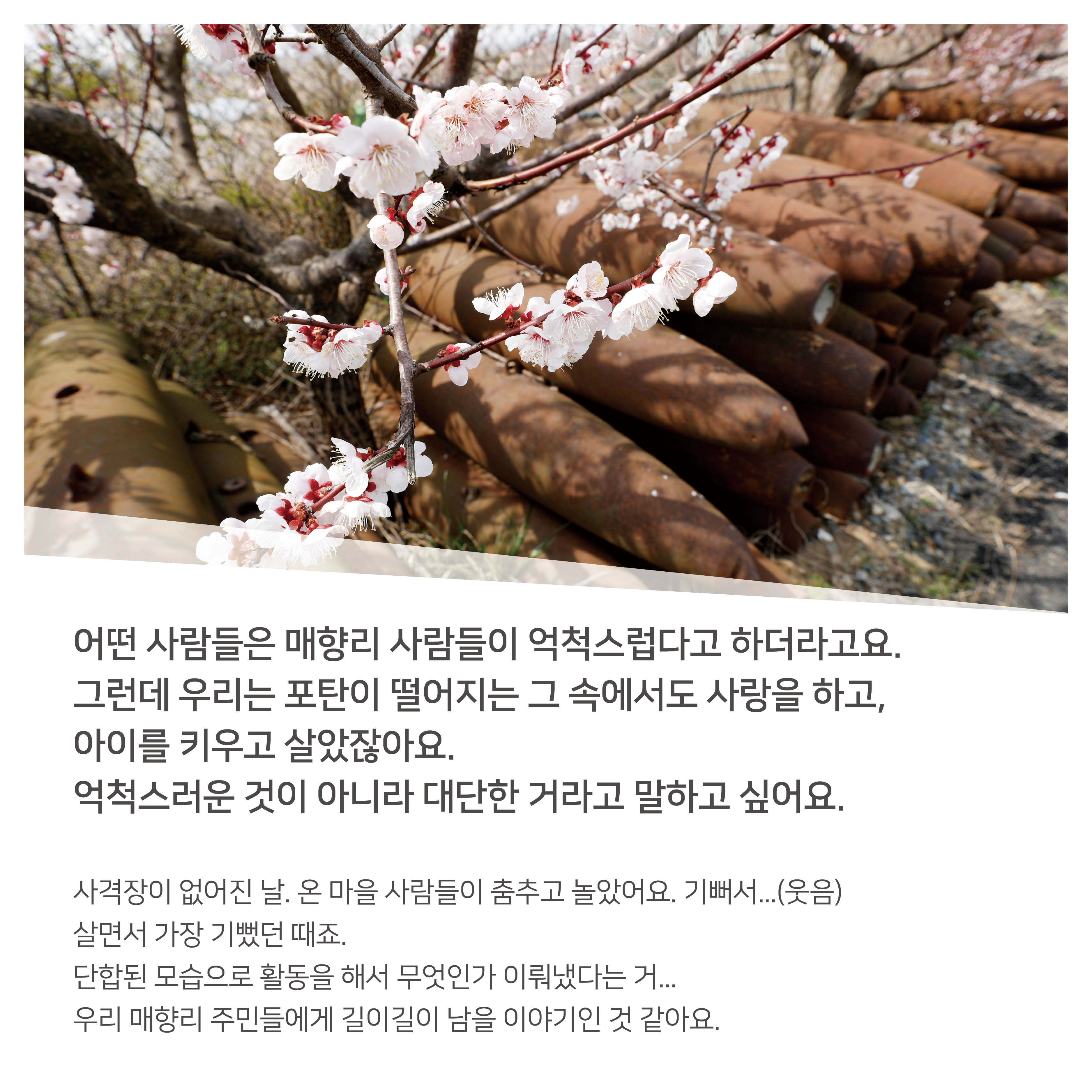 화성인 마음 1편_우정읍 강경숙님_08034.jpg